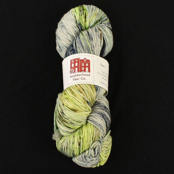 Neighborhood Fiber Co Studio Worsted Yarn Superwash Merino Wool Nexst Colorway - Picture 1 of 4